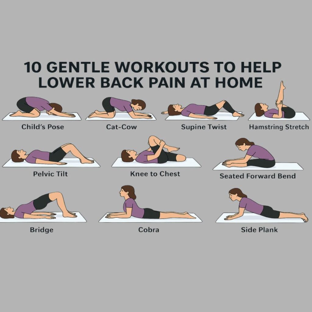 Physiotherapy Exercises for Daily Pain Relief